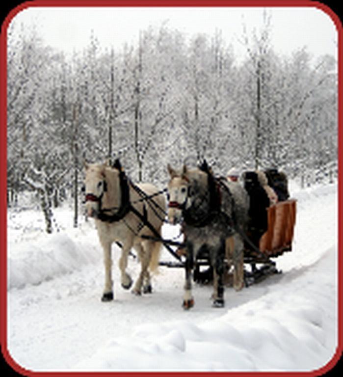 Hotel Zur Edlen Krone *